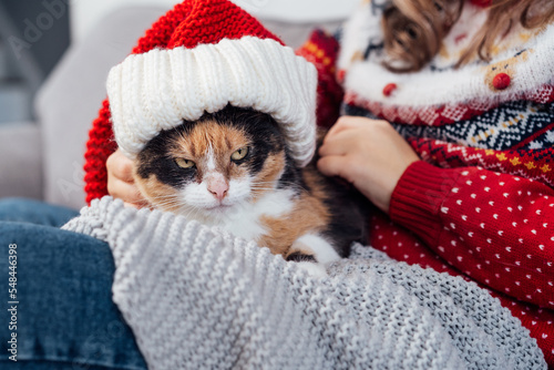 Sullen, grumpy multicolored Cat in Santa Hat lying on the plaid and the female owner knees. Christmas and winter holidays home time. Xmas animals. Selective focus. photo