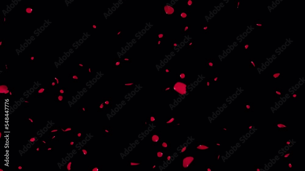 Red Rose Petals Burst with alpha Channel. Element footage place on footage or background. Red Rose Petals Burst with alpha Channel. Element footage place on footage or background.