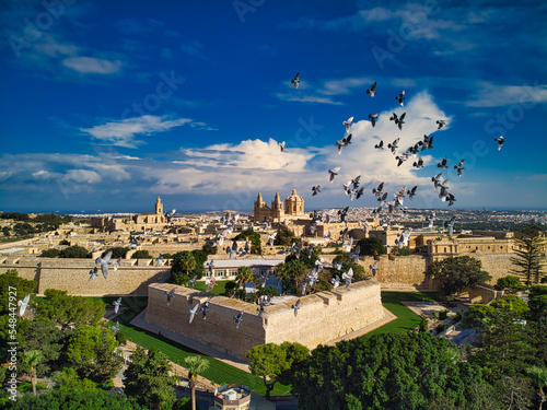 Aerial view of flock of doves in front of Mdina Old Capital  the Silent City and  Medieval Town in Rabat  Malta