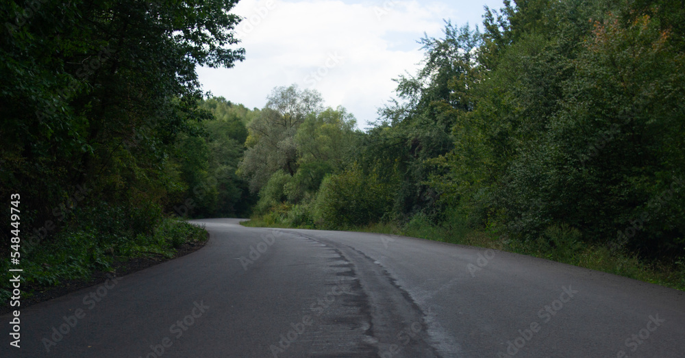 Obraz premium road in the forest