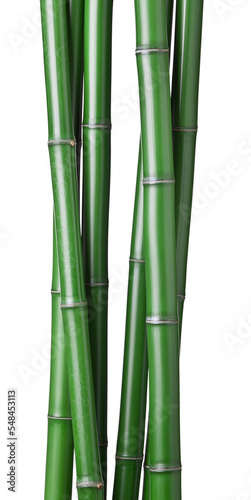 Photo green bamboo sticks