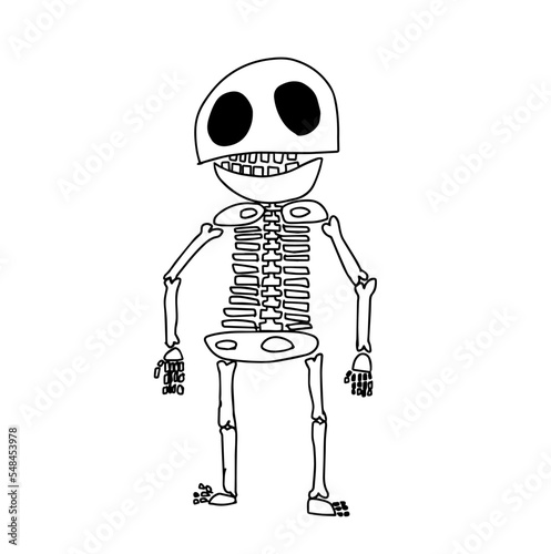 Funny skeleton. A hand-drawn cute character. Sketch. Vector doodle illustration