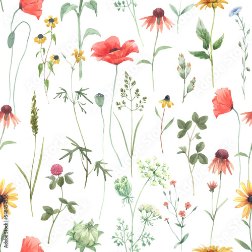 Beautiful vector floral seamless pattern with watercolor hand drawn field wild flowers. Stock illustration.