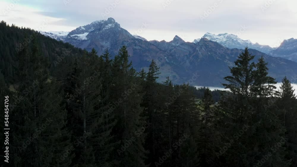 Ascending aerial shot from behind trees revealing the Leitchamm Mountain valley Ascending aerial shot from behind trees revealing the Leitchamm Mountain valley