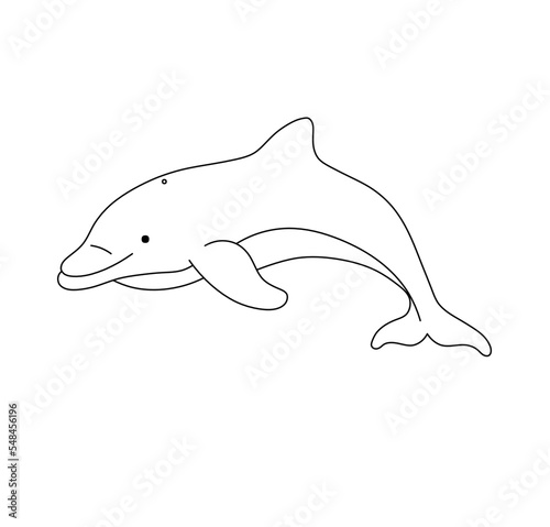 Vector isolated one swimming floating little smiling dolphin colorless black and white contour line drawing 