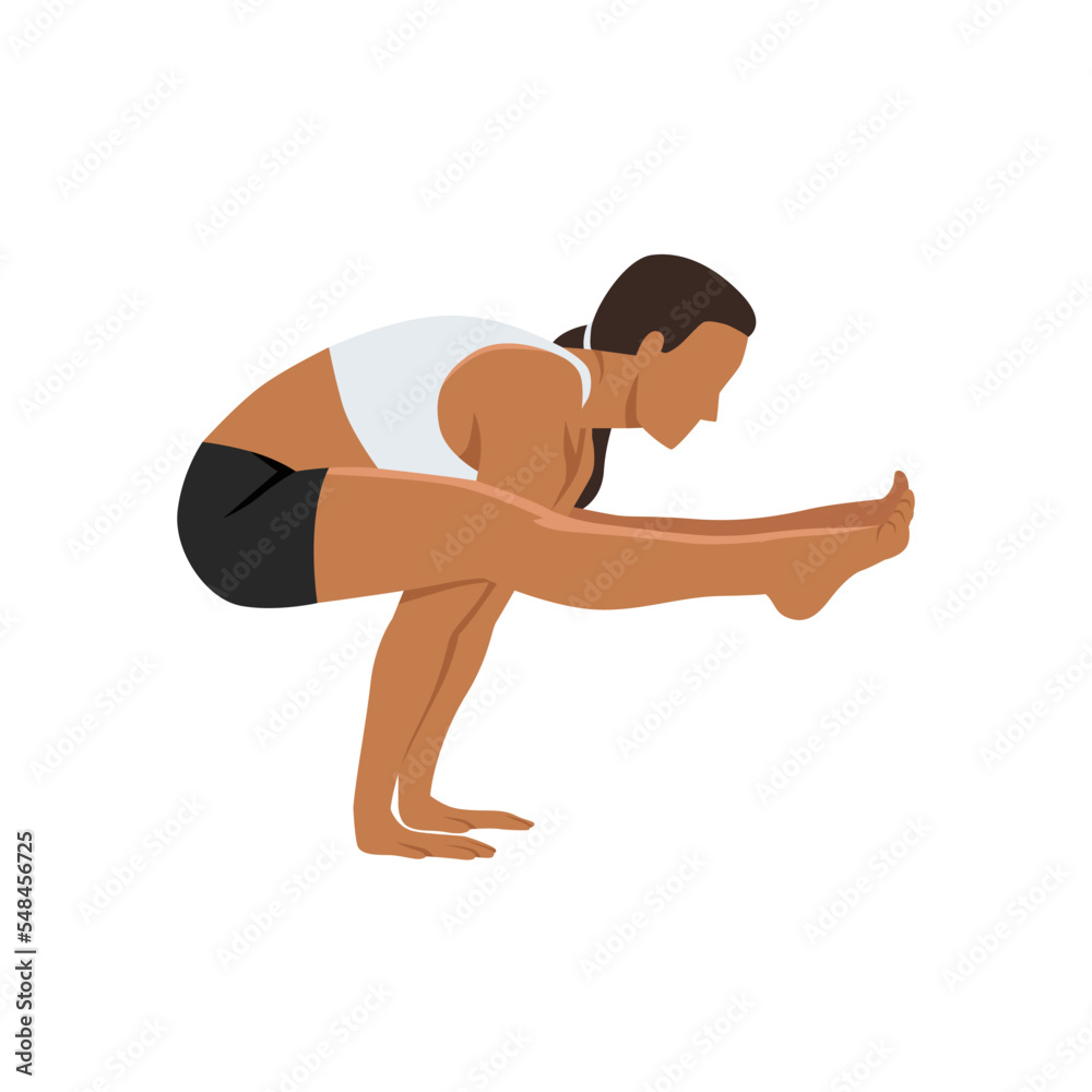 Woman doing Firefly Pose Variation. Practice Tittibhasana Variation. Flat vector illustration isolated on white background Woman doing Firefly Pose Variation. Practice Tittibhasana Variation. Flat vector illustration isolated on white background