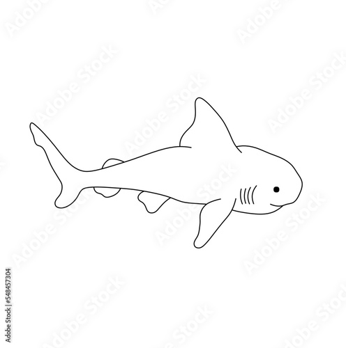 Vector isolated one swimming floating little shark colorless black and white contour line drawing 