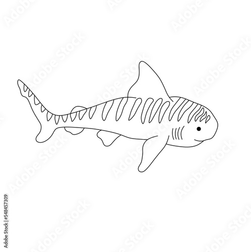 Vector isolated one swimming floating little shark with stripes colorless black and white contour line drawing 