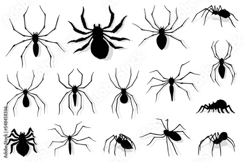 Spider silhouette collection Fototapet