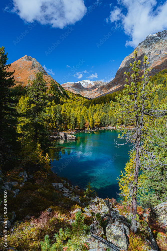 The saoseo lake with its spectacular colors and the swiss alps with the autumn light, near the village of Poschiavo, Switzerland - October 2022.
