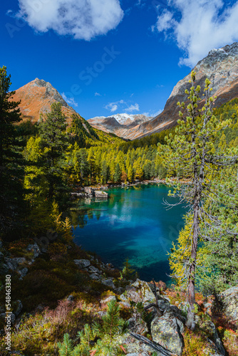 The saoseo lake with its spectacular colors and the swiss alps with the autumn light  near the village of Poschiavo  Switzerland - October 2022.
