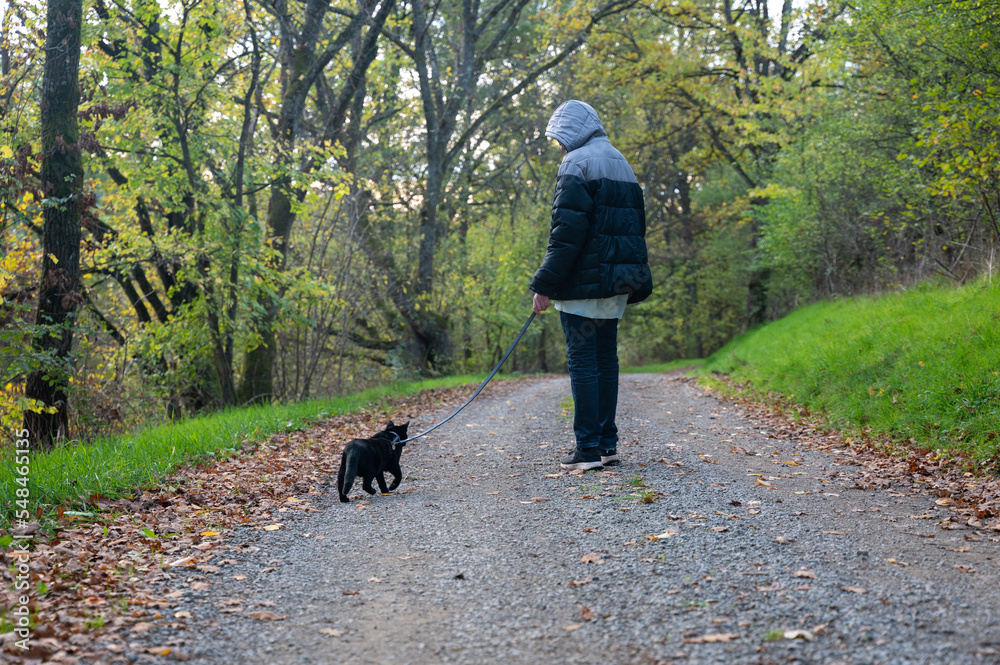 A child walks along a path with his cat on a leash A child walks along a path with his cat on a leash
