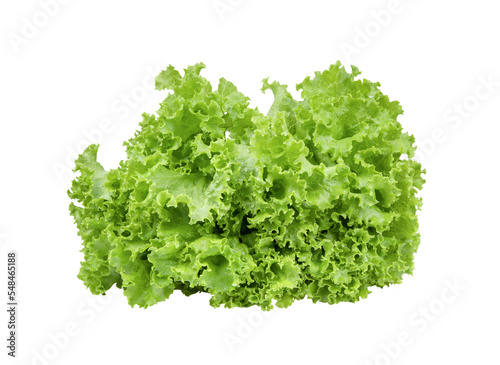 Lettuce salad leaves isolated on transparent png