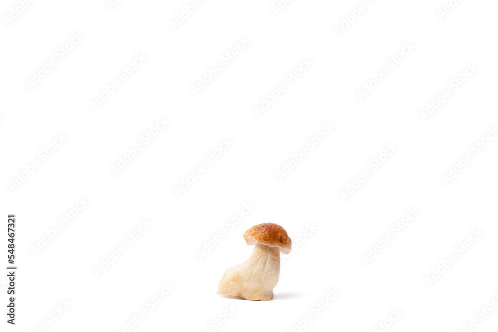 Fototapeta premium Single brown cap Boletus Edulis isolated on white background. Raw edible mushroom. Nobody