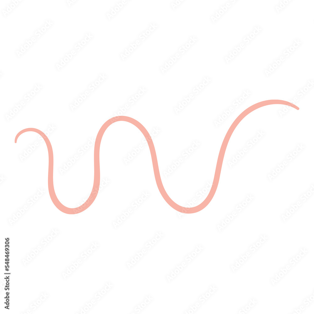 Pink Squiggle Line, decorative element in boho style