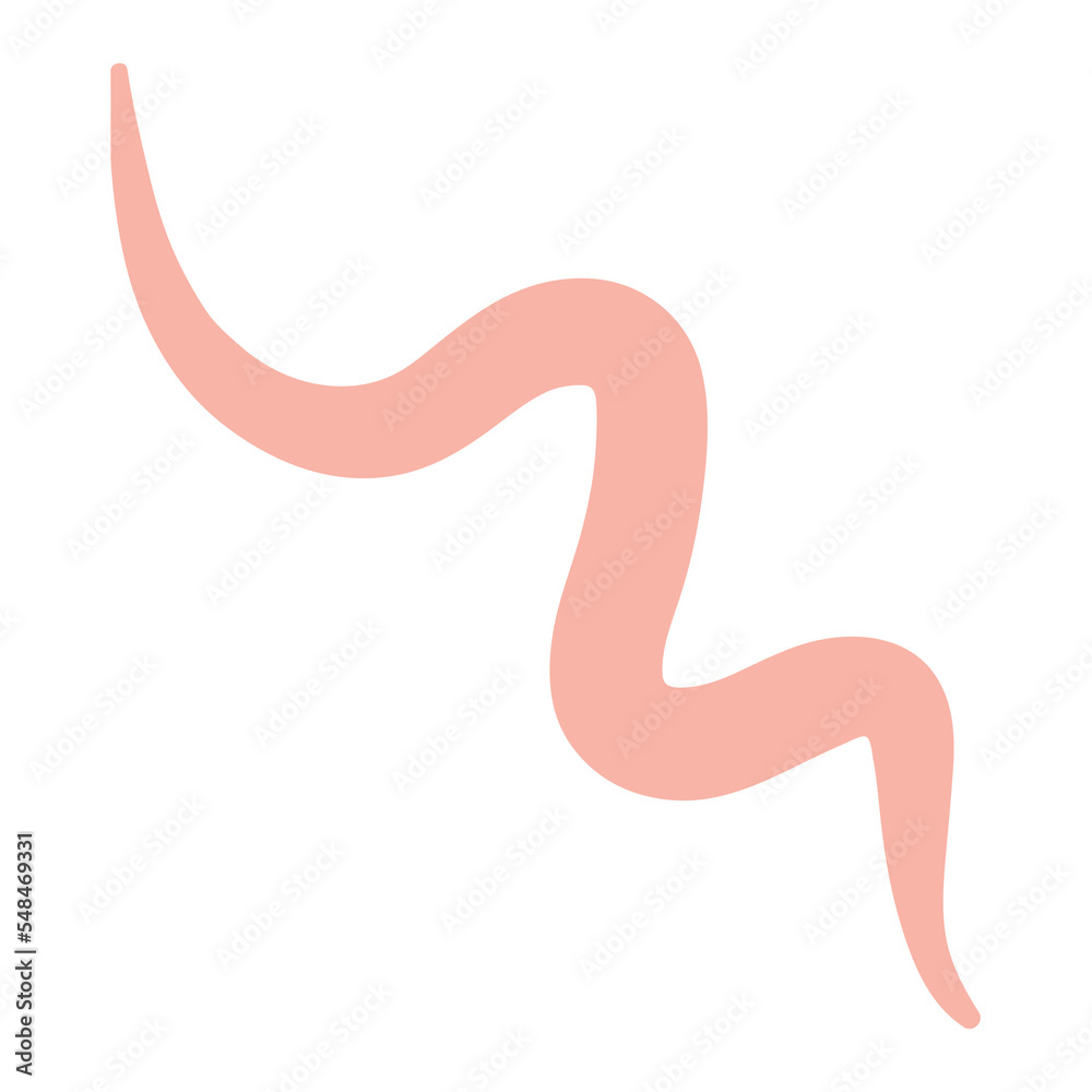 Pink brushstroke line, decorative element Pink brushstroke line, decorative element