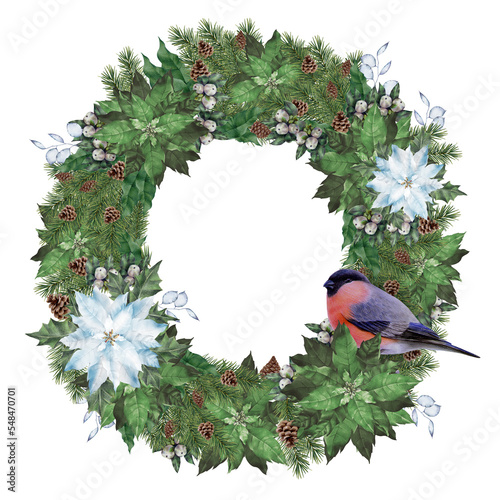 PNG illustration of a coniferous wreath with cones, a white poinsettia and a bullfinch bird. Christmas illustration. Winter theme. Christmas wreath.