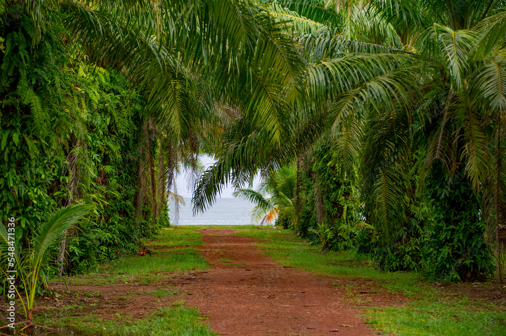 Obraz premium Thailand Chumphon zone