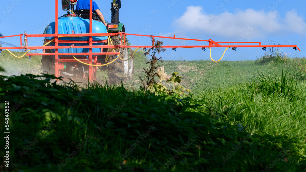 A small agricultural tractor processes the field with herbicides from weeds. A small agricultural tractor processes the field with herbicides from weeds.