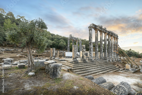 The Temple of Zeus Lepsinos at Euromos Ruins in Milas, Mugla, Turkey photo