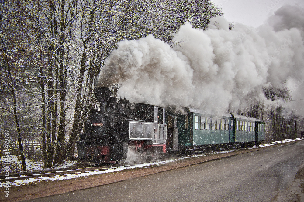 Obraz premium winter in Bucovina