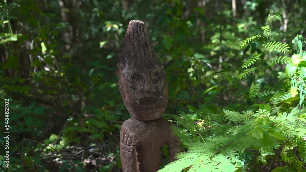 Medium shot of wooden statue in Dominican forest Medium shot of wooden statue in Dominican forest