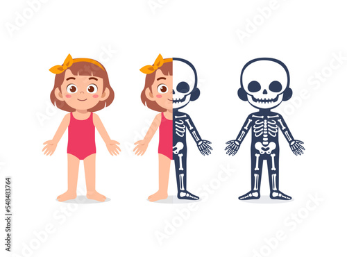 kid body structure for education in school