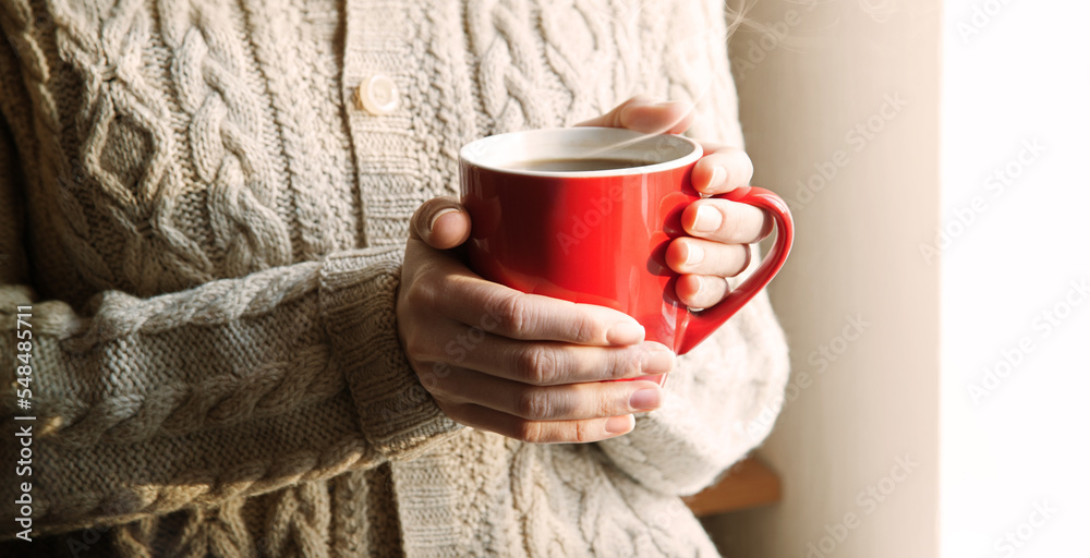 Women's hands holding a warm cup