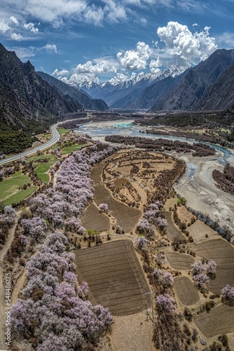 Vertical aerial of a purple Kurinji field next to the Niyang river with a background of mountains photo
