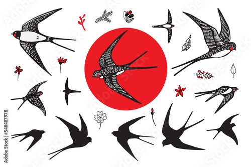 Japanese style swallow bird vector illustartions set.