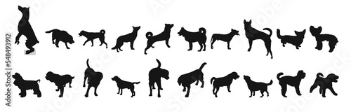 Set of black silhouettes of dogs standing  running position  pack of shapes and figures of pets hand drawn  white background  isolated vector