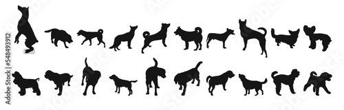 Set of black silhouettes of dogs standing, running position, pack of shapes and figures of pets hand drawn, white background, isolated vector