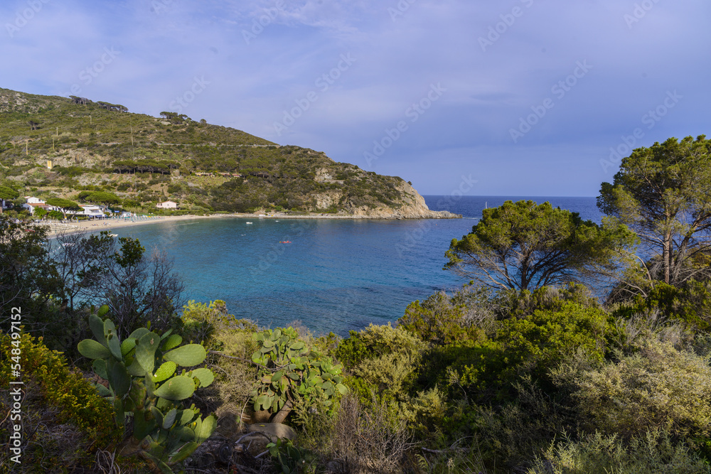 Cavoli Isola d'Elba