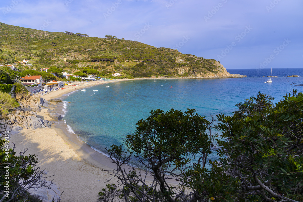 Naklejka premium Cavoli Isola d'Elba