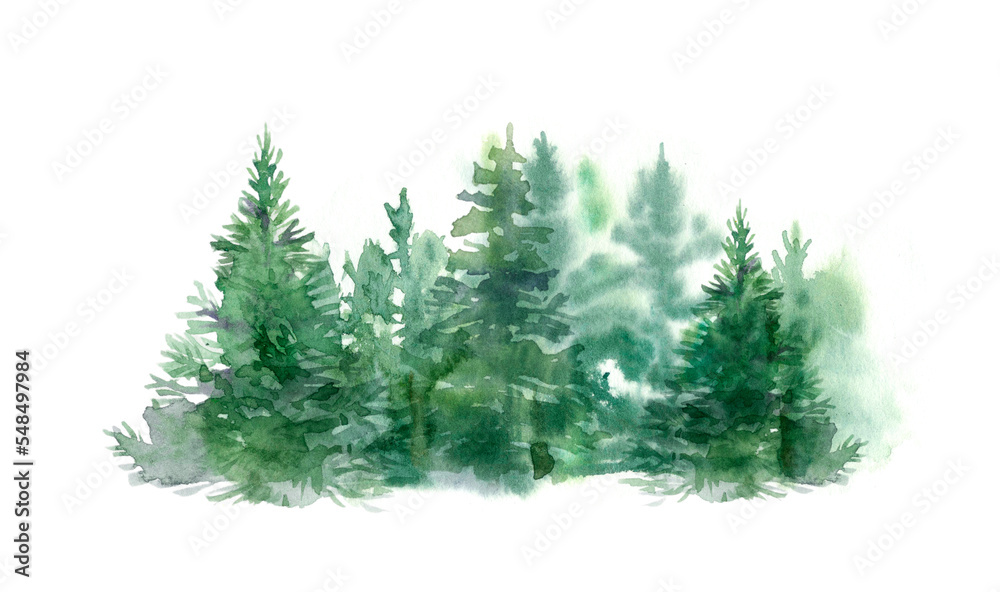 Fototapeta premium Watercolor forest border. Hand-drawn illustration isolated on the white background