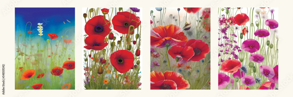 Watercolor illustration of wild poppy flowers. Red poppy flowers filed ...