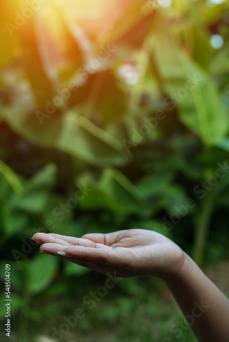 Technology, Hands holding globe of tropical nature summer background,