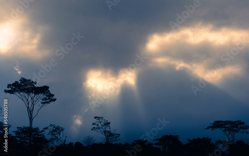 Ray of sun light shine through clouds on cloudy afternoon day with silhouette of trees, bush, and branches as foreground. God rays godray sunshine photo