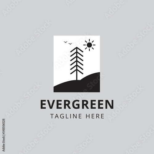 Evergreen, pines, spruce, cedar trees logo design