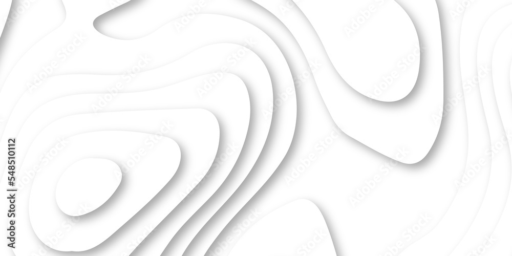 Obraz premium Abstract Luxury paper cut background, Abstract decoration, white pattern lines gradients, 3d Vector illustration, topographic canyon map light relief texture, curved layers.