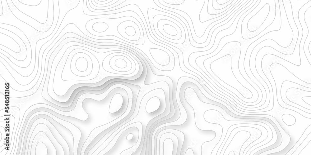 Abstract background vector and topographic patter line map background. silver line topography maount map contour background, geographic grid. Abstract vector illustration.