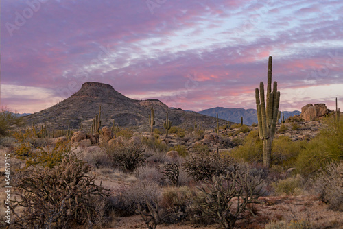 Colorful Desert Sunset Landscape Skies In Arizona With Cactus