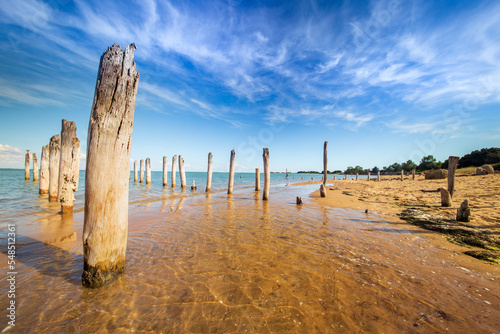 Vintage wood poles of rail ramp on the beach of Fort Royer oyster farm site, ile d’Oleron, Nouvelle Aquitaine region, department of Charente-Maritime, France. photo