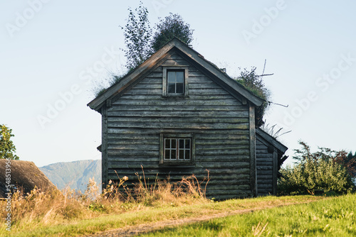 Lonely old wooden overgrown cottage in the middle of the meadow in Norway nature. Typically historical building in norway village. Old mood.