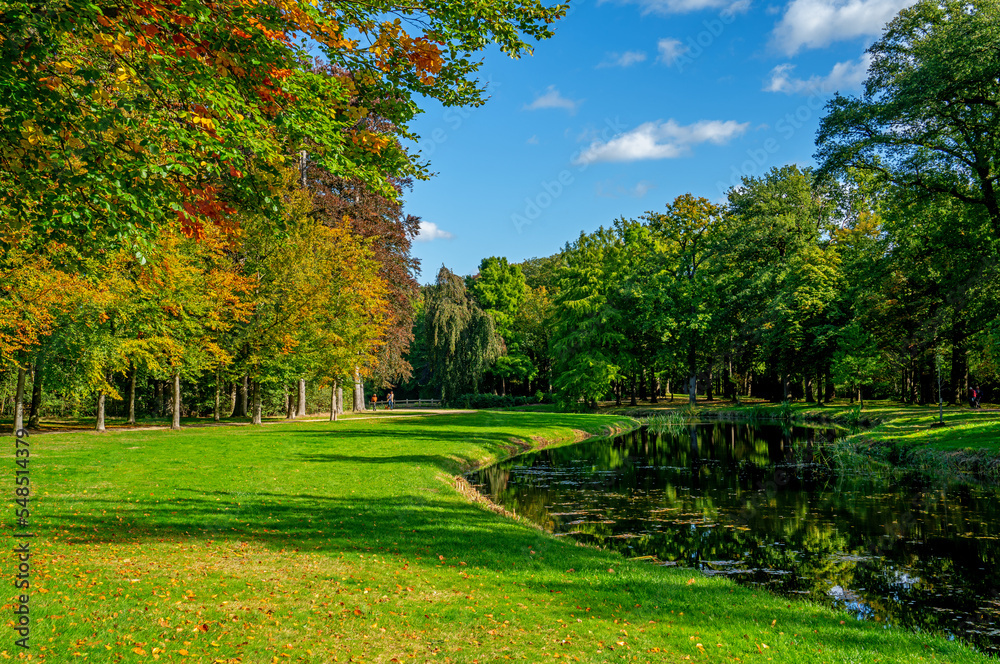 Fototapeta premium Large pond in a nature reserve in the Netherlands 