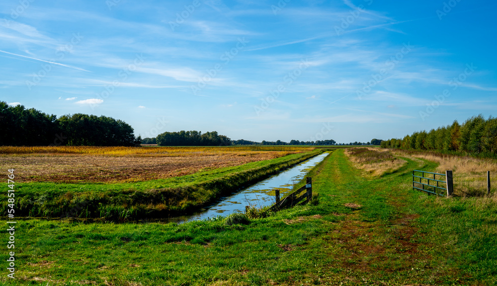Landscape in a marshland in Bargerveen, Netherlands
