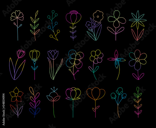 Vector doodle set of floral elements buds leaves herbs flowers