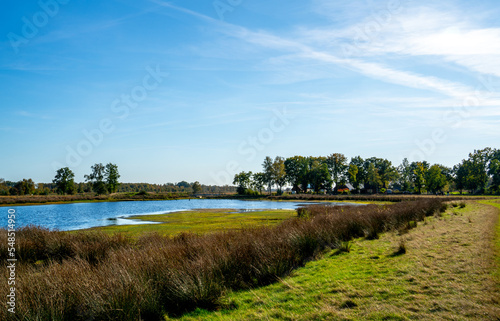 Pool in a marshland in Bargerveen, Netherlands

