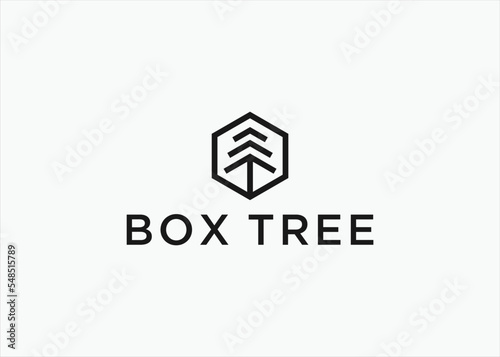 pine tree hexagon logo design vector silhouette illustration