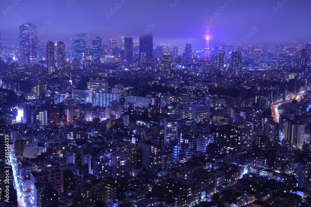 初戦当日雨空にサムライブルーにライトアップされた東京タワー